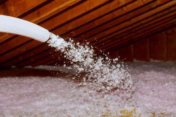 Best Spray Foam Insulation in Coleman, TX