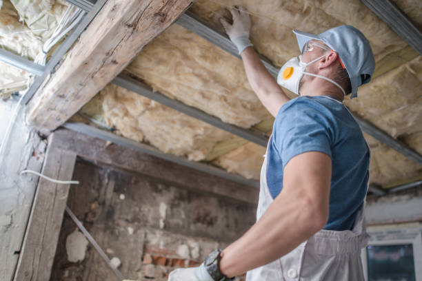 Best Geographic-Specific Insulation Services in Coleman, TX
