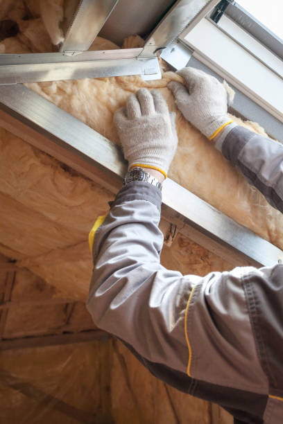Best Blown-in Insulation in Coleman, TX